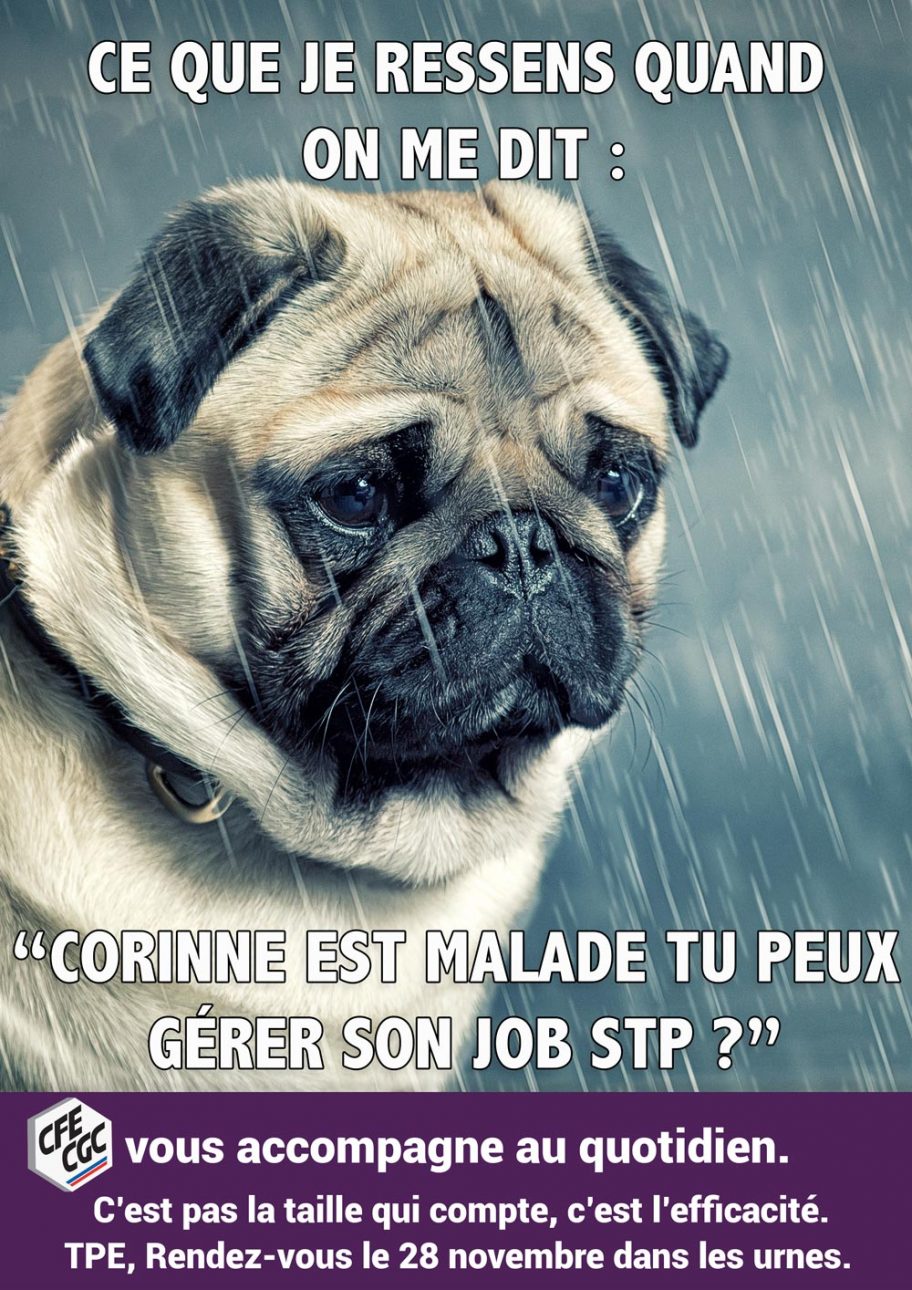 carlin-2